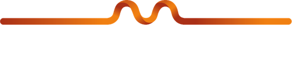 Mees van den Brink