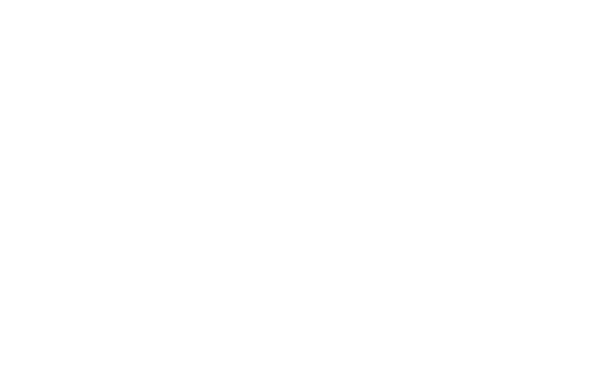 Detailschuur