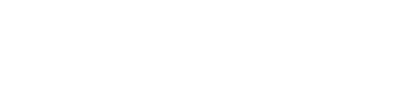 Mees van den Brink