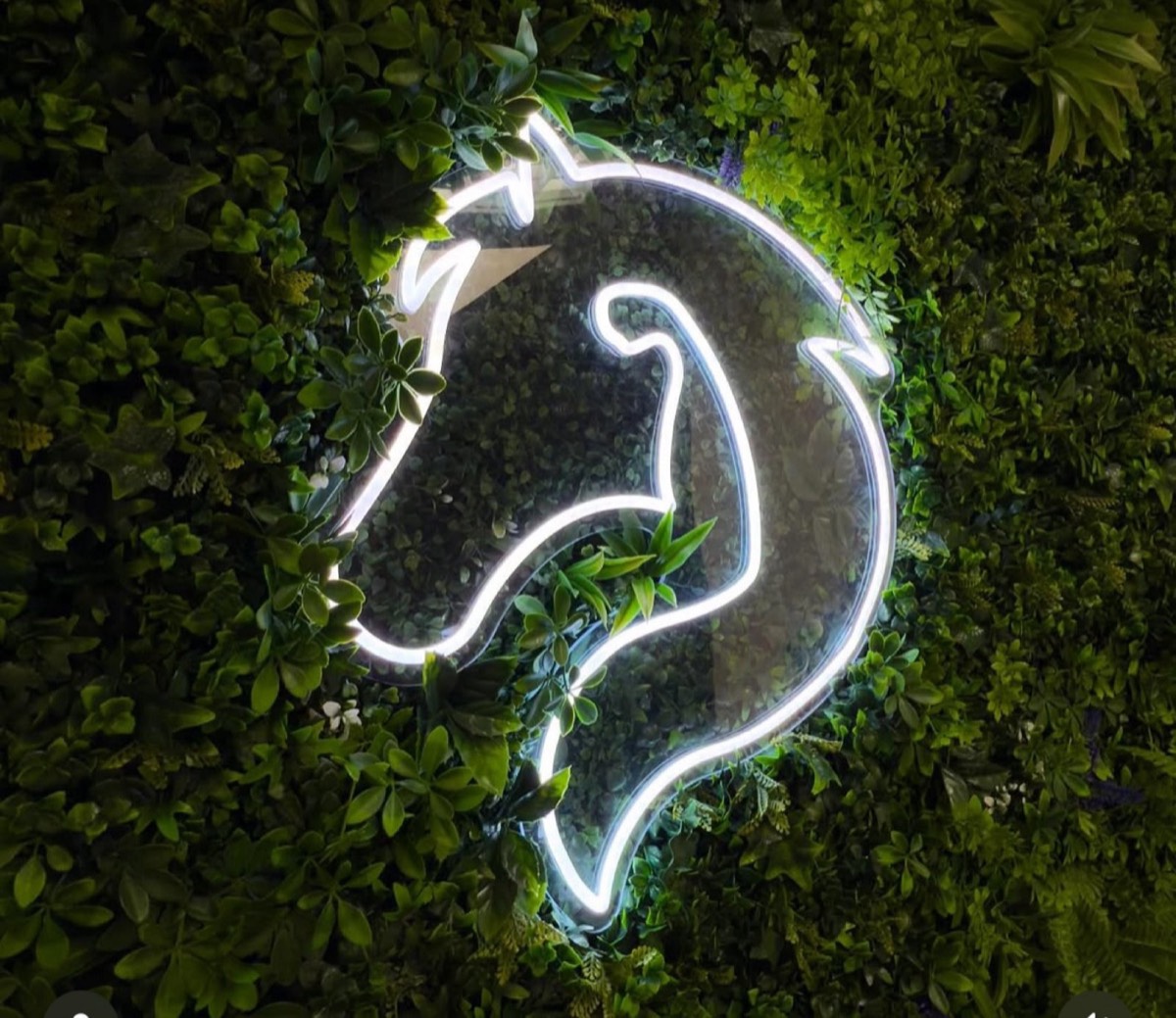 LED sign van een paardenhoofd in koud wit op een groene wand
